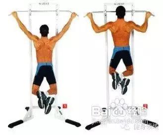 背部训练动作背心,教你几招新的背部训练动作