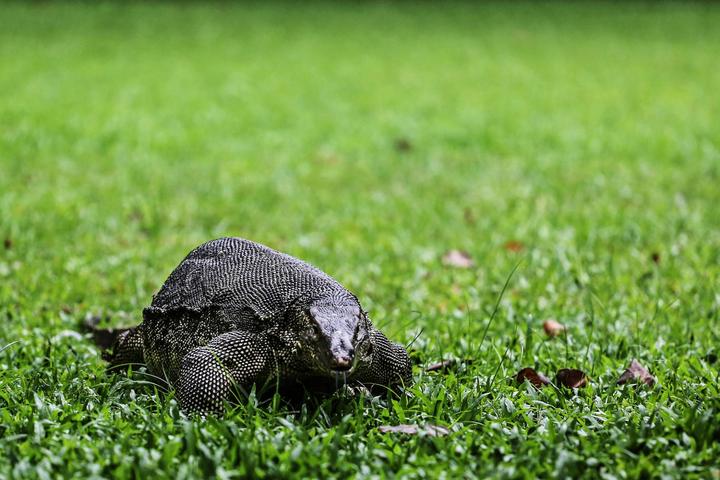 曼谷交通攻略去超市,曼谷游玩最全交通出行攻略