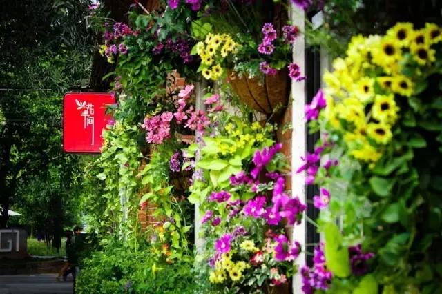 北京到香港高铁深度体验,北京到香港高铁什么时候开通