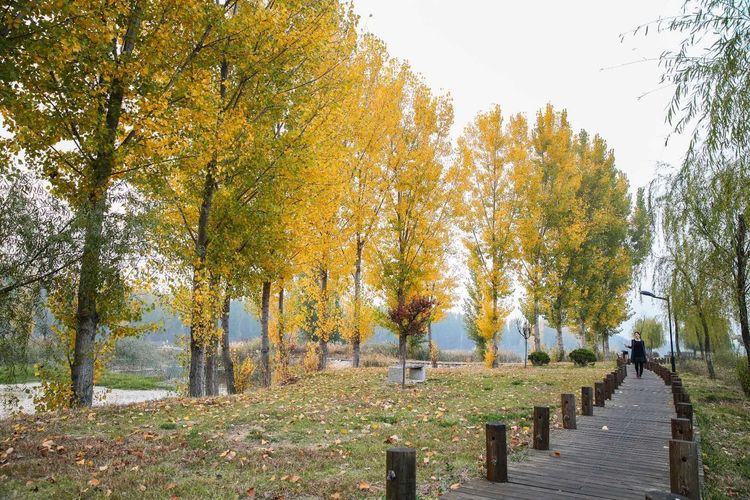 金秋沂南,诗意流淌有那么一群爱美的人,把秋季沂南送到你面前