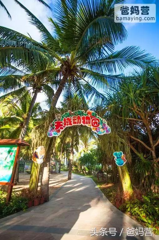 江浙沪十佳亲子酒店,适合亲子酒店推荐