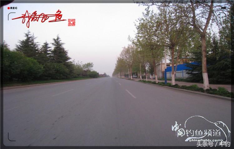 朋友相聚钓罗非,好友们相约一起钓鱼视频