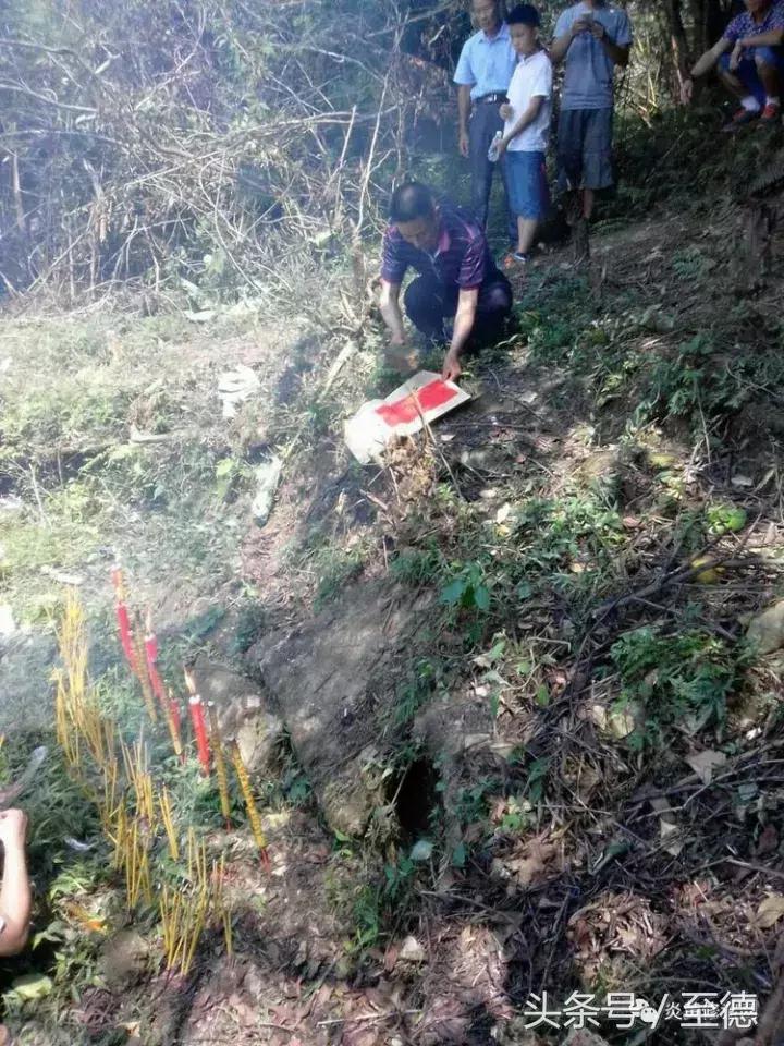 三省五地吴氏建立逸创三郎公宗族机构倡议修缮祖墓