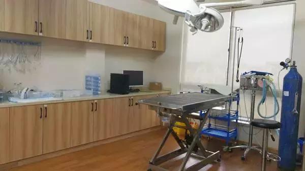 中国为什么没有正规的宠物医院,国内靠谱的宠物医院