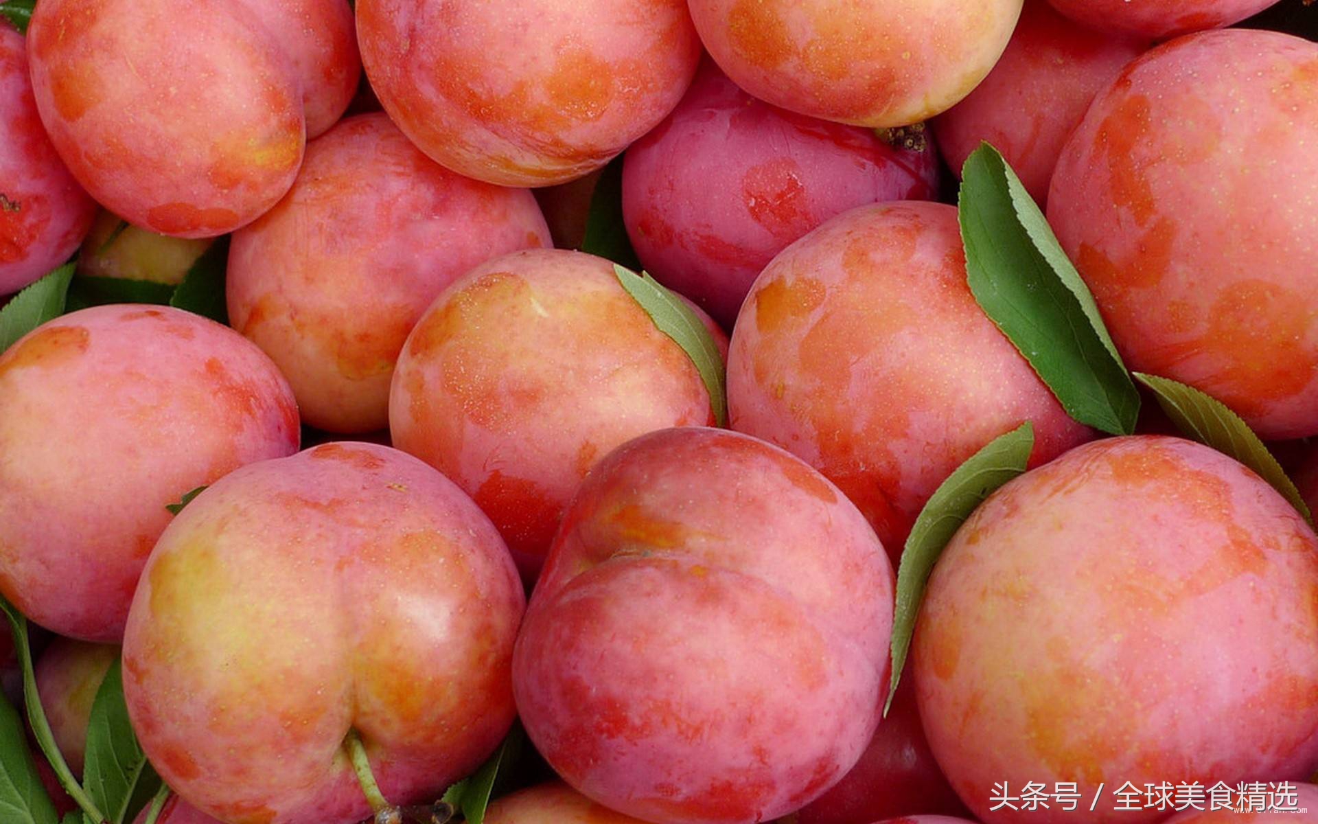 哪些食物相克吃了会危及生命,什么水果一起吃会有生命危险