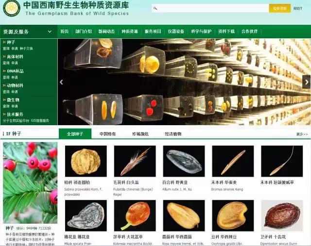 给未来“留种”！他们建的这个库是我见过最酷的