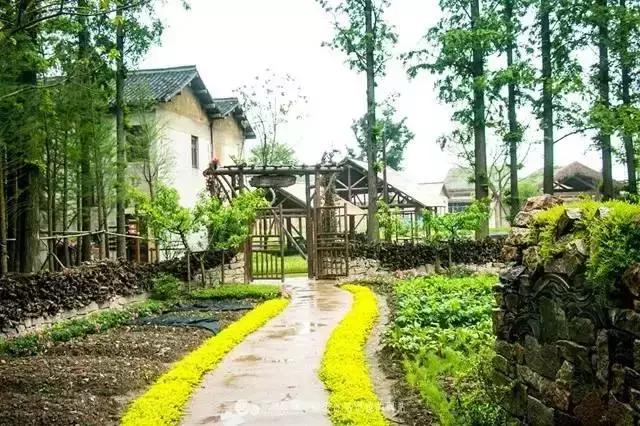 乌村生态园,乌山农家乐和休闲农庄