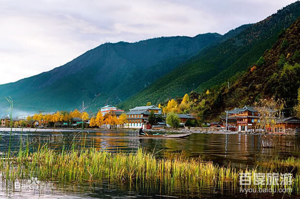 哇哇哇！这里简直美呆啦！