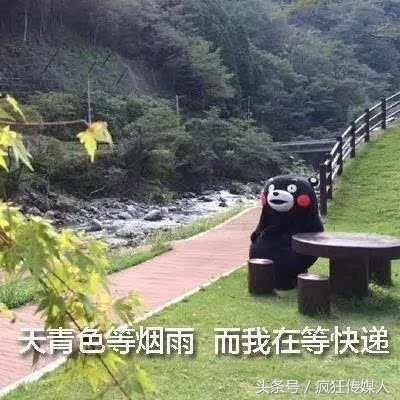 双十一快递最实用,双十一催快递