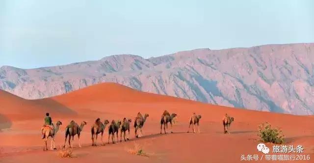 阿曼对中国是落地签证吗,阿曼与中国免签