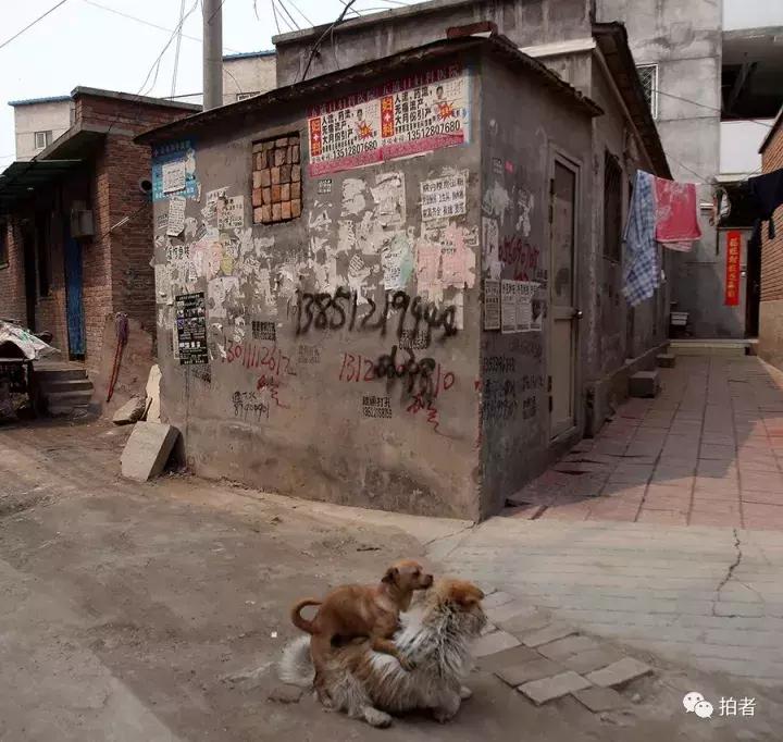 北京唐家岭旧貌,北京唐家岭事件
