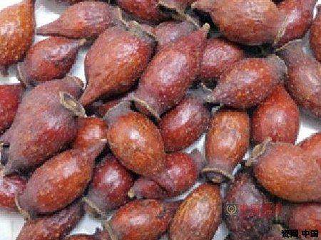 去旅游再也不怕奸商蒙人了，一篇能让你认清所有菩提子的文章！