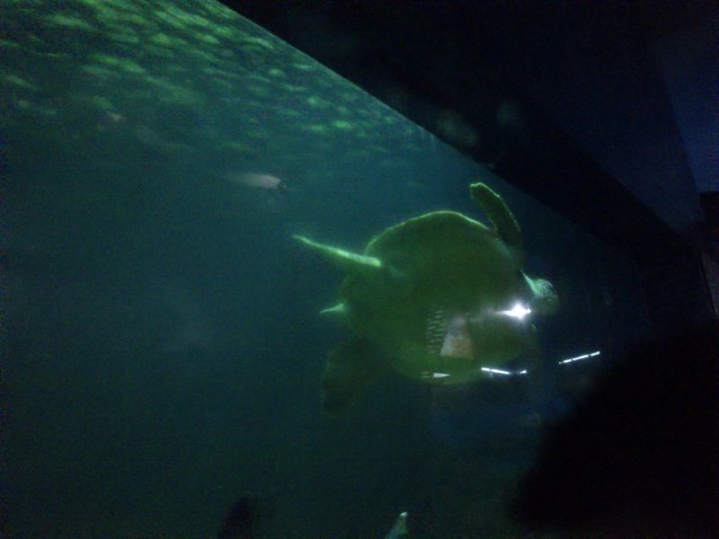 成都除了国色天香欢乐谷还有哪些,成都国色天香乐园好还是欢乐谷好