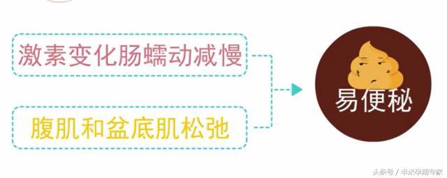 怀孕晚期便秘严重拉不出来怎么办,孕晚期便秘吃什么药可以快速排便