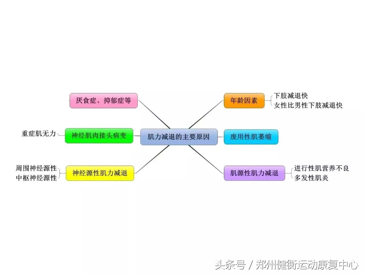 康复治疗技术专业职业思维导图,康复工程知识点思维导图