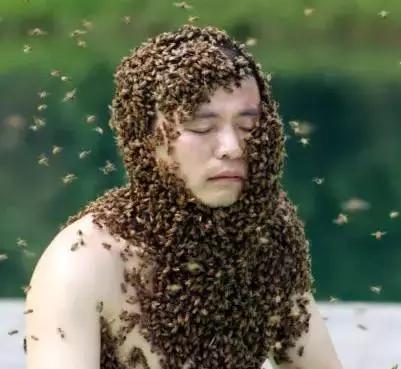 孕妇拥数万蜜蜂拍照被叮3下胎死腹中，老蜂农这样解释