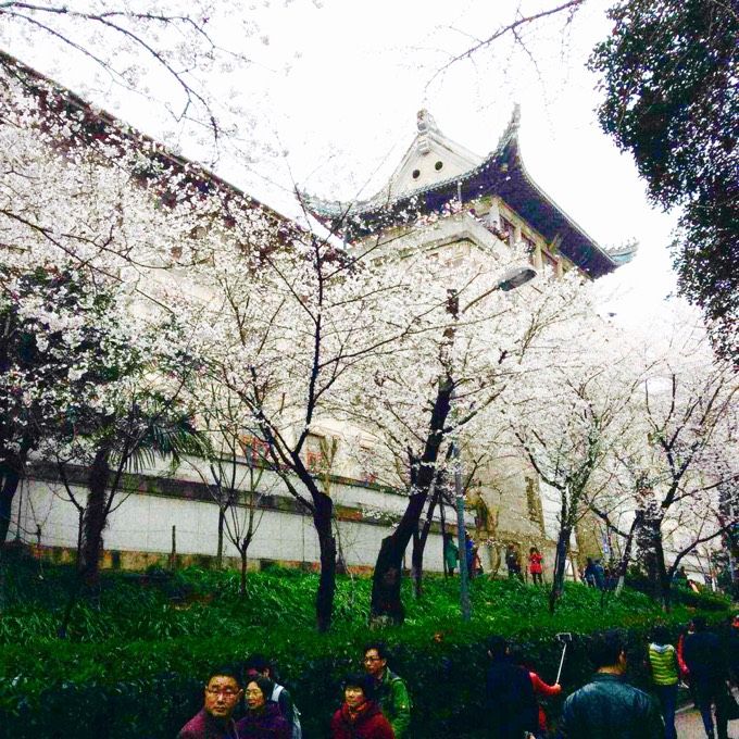 十大最美校园深圳大学,探访最美大学武汉大学