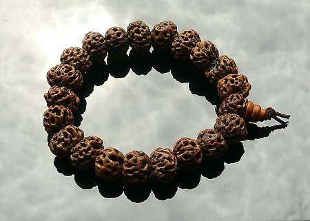 去旅游再也不怕奸商蒙人了，一篇能让你认清所有菩提子的文章！