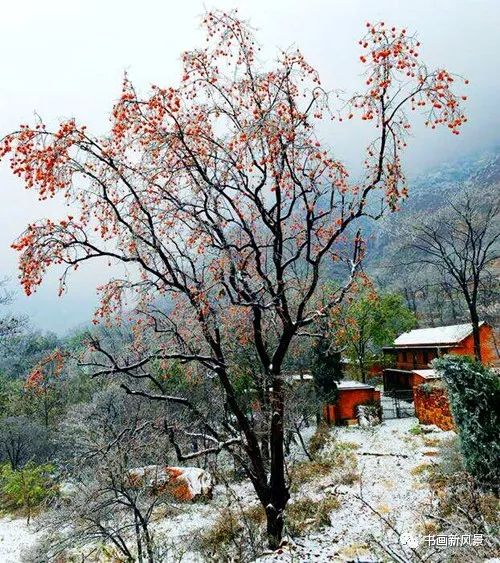 白里透红美颜,白里透红娇颜