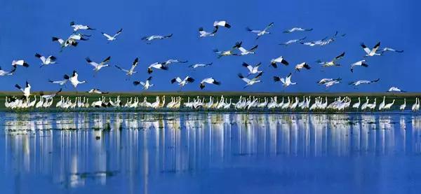 深圳高铁能到的旅游城市,深圳高铁1小时到的风景区