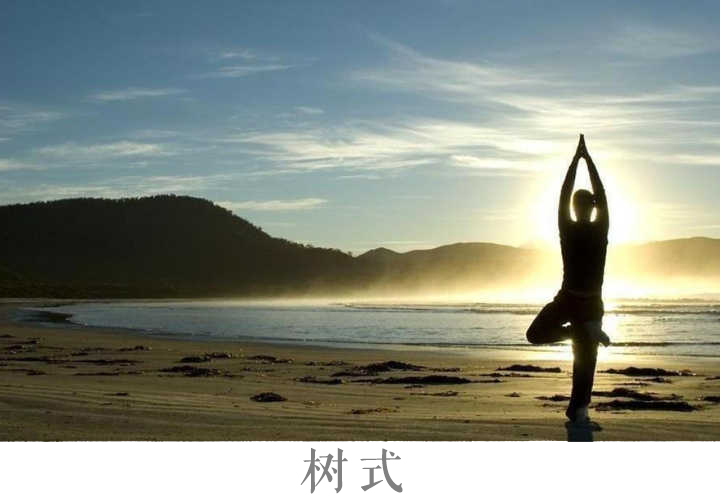 腰果直播教学视频,腰果直播如何讲解