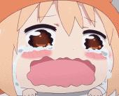 怎样看待网上购买宠物,怎么看待网上买宠物