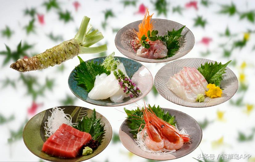 山葵辣根芥末的日语分别是什么,芥末系辣根山葵图片