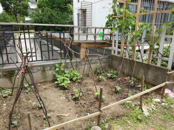 80后斜杠青年装修爆改姑苏民居找寻属于他的诗和远方