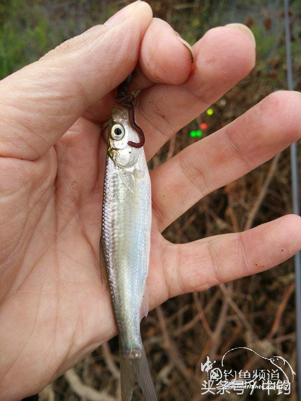 携好友出征私留地天虽冷鱼情很给力