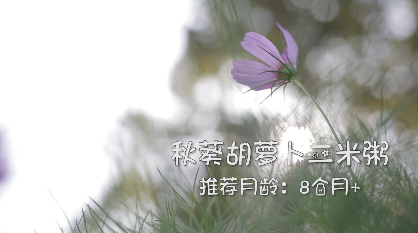 孩子缺钙吃什么能补上去,孩子补钙别只喝牛奶3种补钙蔬菜