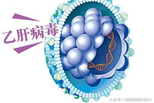 肝炎如何防控,慢性肝炎保肝护肝药有哪些