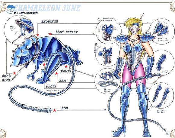 最没存在感的圣斗士星座排行,圣斗士88星座里的四个特殊星座