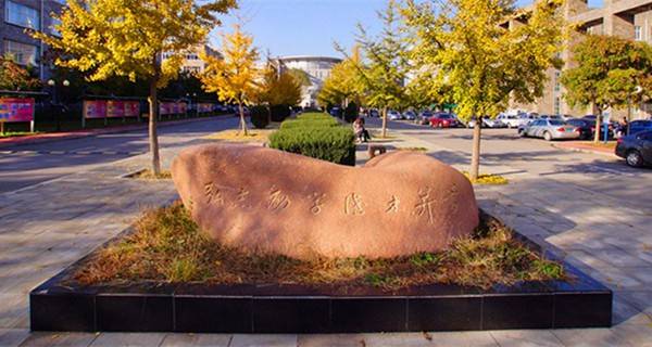 沈阳理工大学在全国理工排名,沈阳理工大学全国排名多少