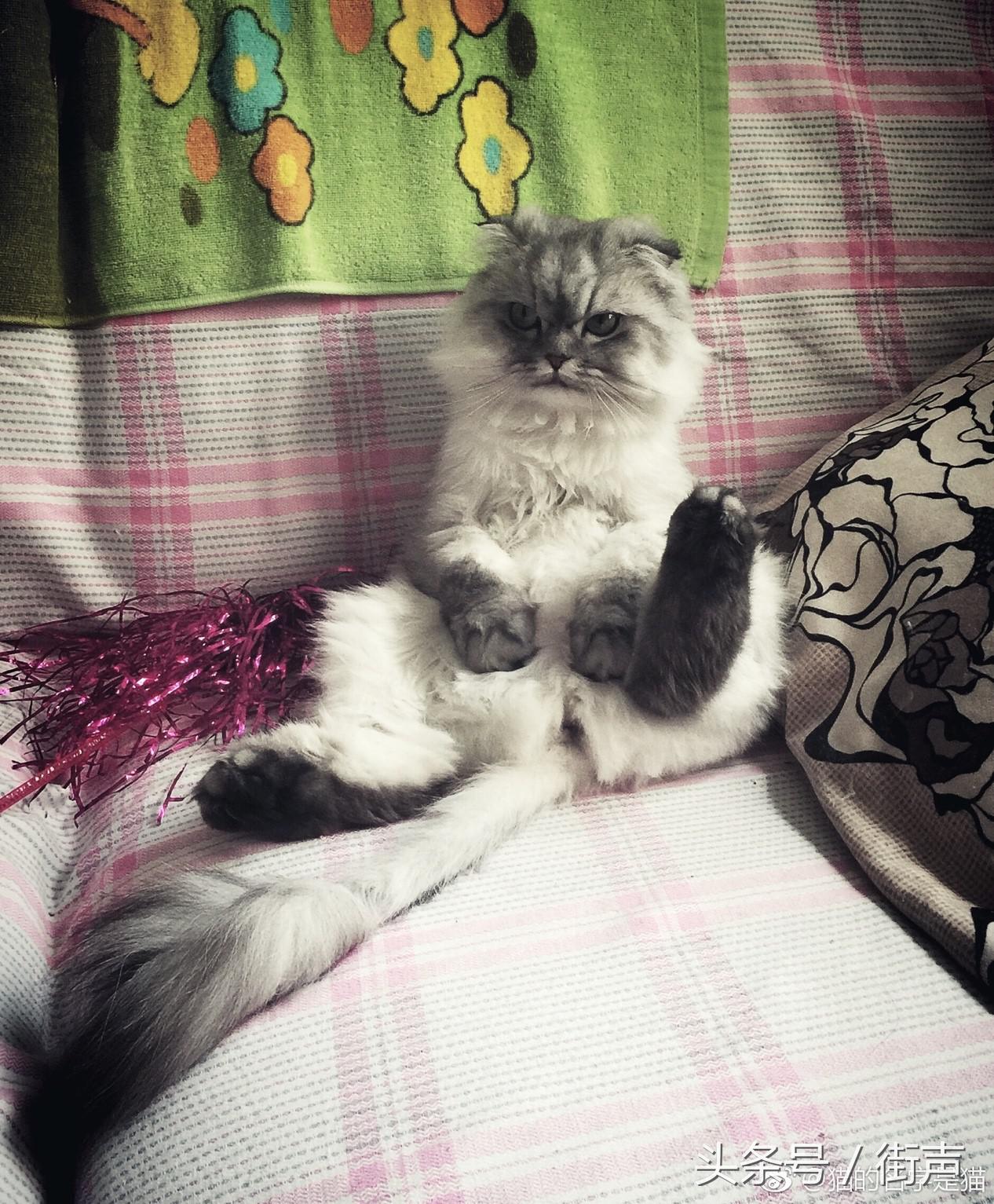 黑羊：我特别害怕被打上“京城”“嘻哈”“地下”这些标签