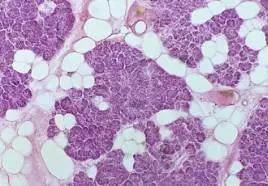 你知道吗，人体是由什么组成的？