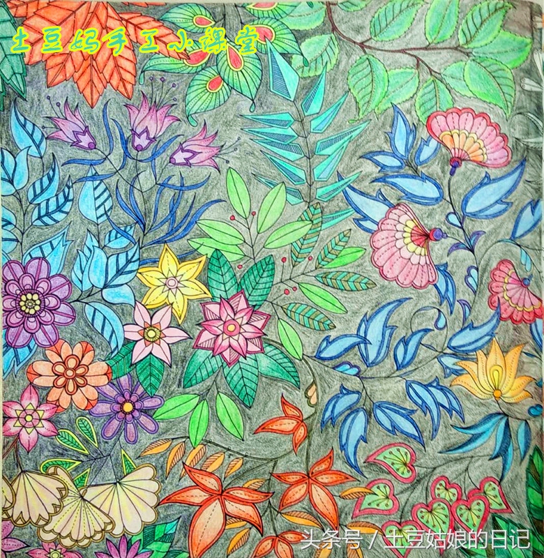 玩秘密花园涂色本,秘密花园涂色本可爱