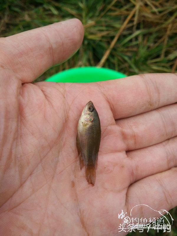 携好友出征私留地天虽冷鱼情很给力