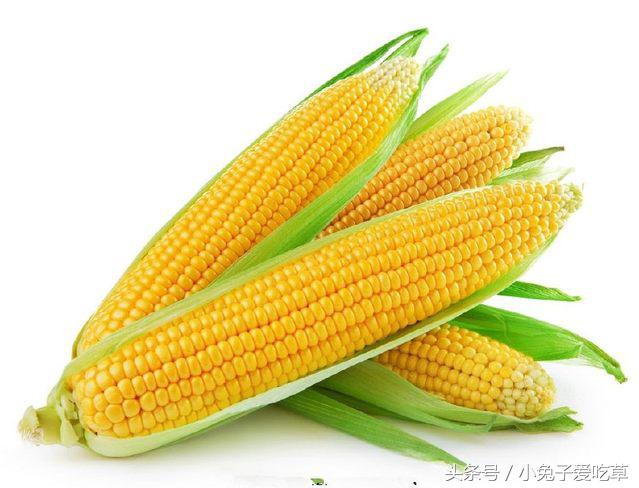 吃哪几种食物可以保护眼睛,保护眼睛多吃哪些食物有帮助