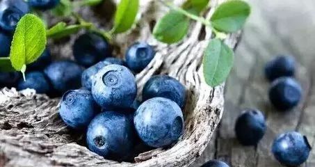 白山地区好的地方特产,白山特产有哪些值得买