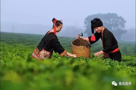 来海南带什么纪念品回去,来海南带什么回去送人