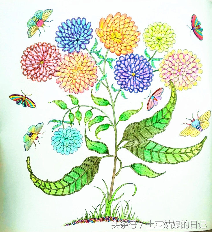 玩秘密花园涂色本,秘密花园涂色本可爱