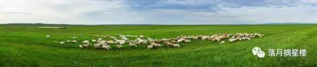 行走在呼伦贝尔大草原视频 (行走在呼伦贝尔纪录片)