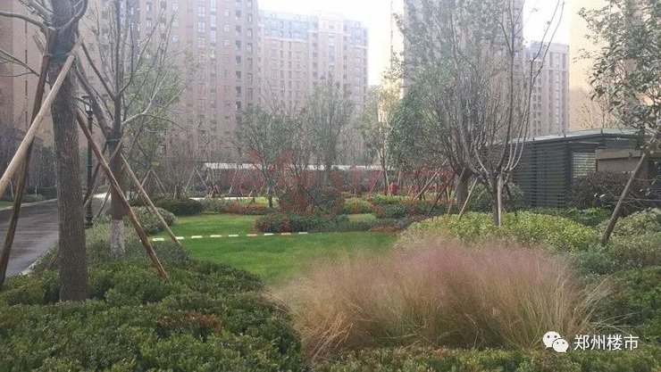 未来洋房和别墅哪个值得买,豪宅里的小户型值得买吗