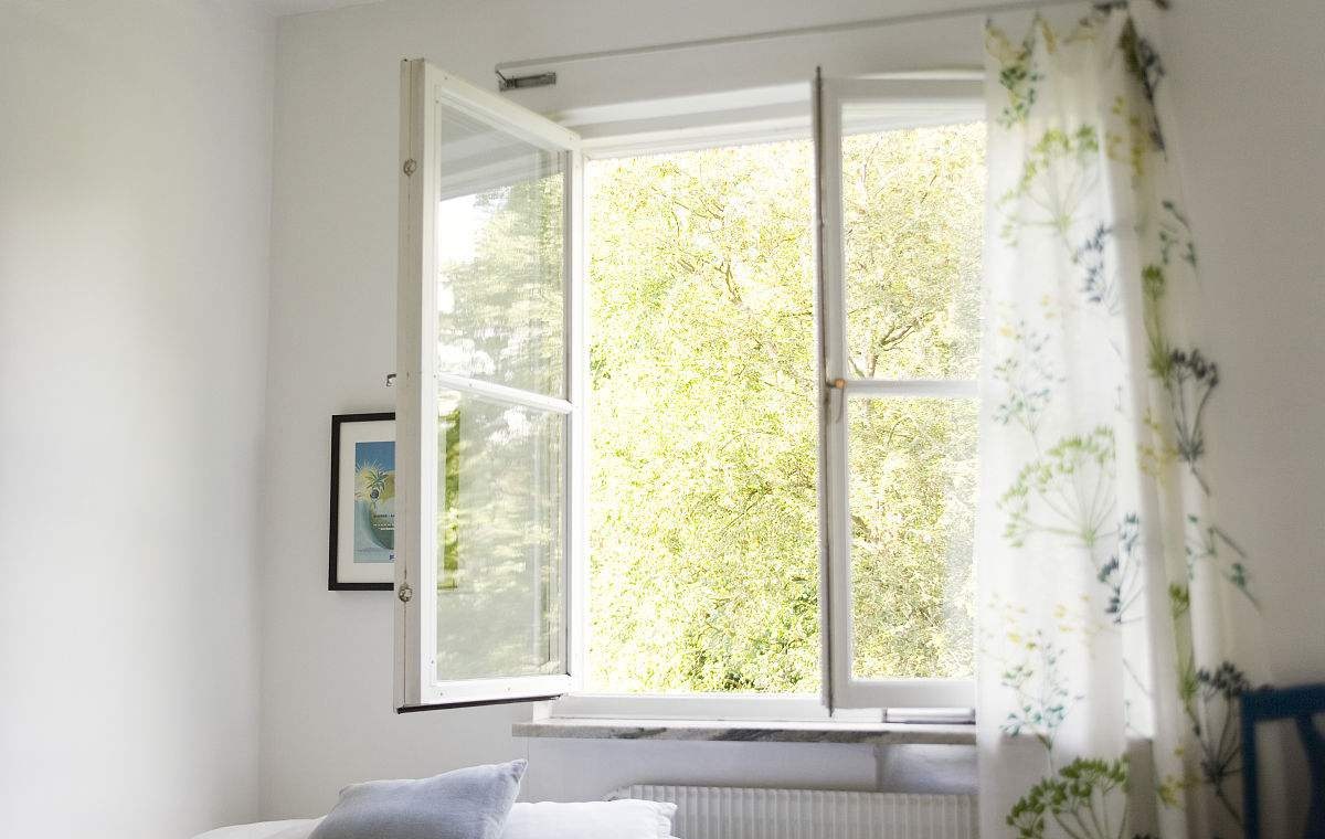 甲醛最怕哪三个克星,甲醛最怕的4个小妙招