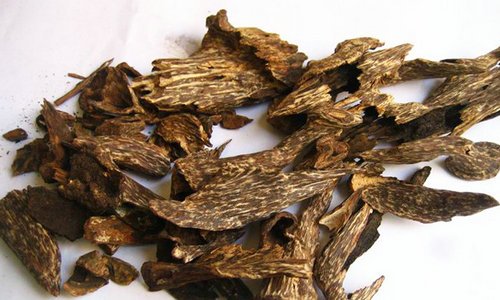 沉香树又叫什么,沉香与沉香木的根本区别