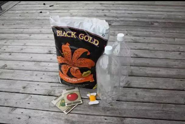 小瓶子手工制作小东西养花,省钱10大养花神器1个塑料瓶做出来