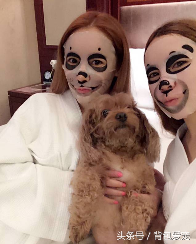 狗与面膜不可兼得，看到主人敷面膜...汪星人夺门而逃！
