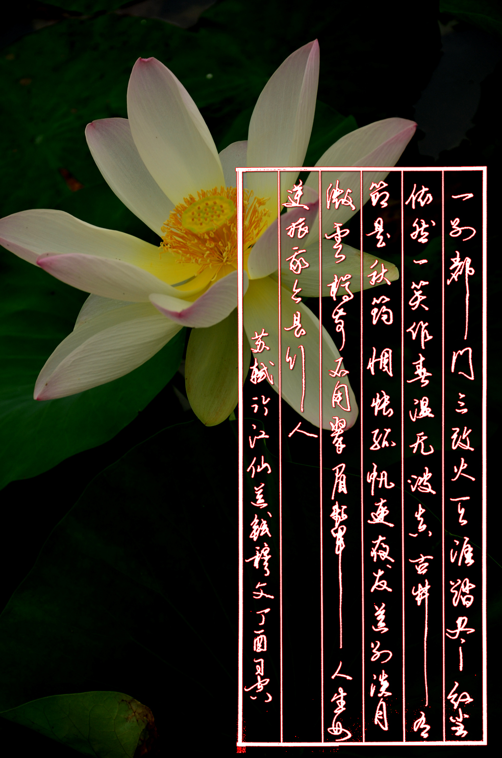 唐诗宋词经典佳句意境,唐诗宋词经典孤帆远影碧空尽