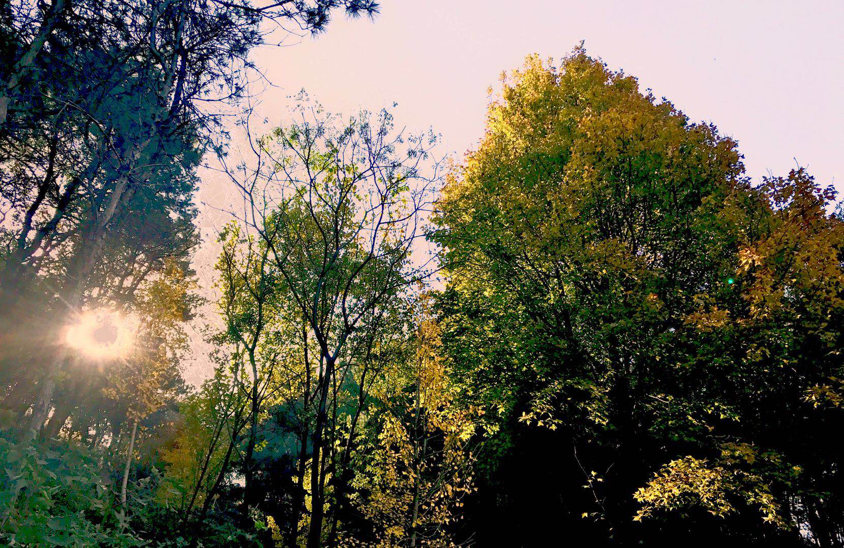花乡茶谷最好的地方,冬日花乡茶谷