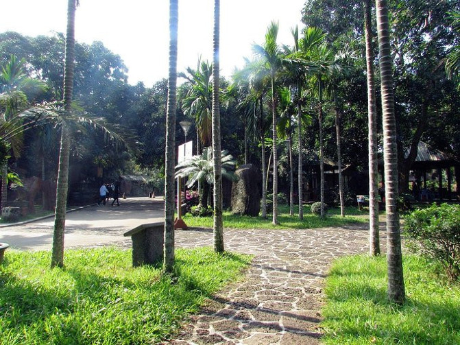 邂逅美丽椰城海口自由行攻略,海南岛自驾游摘椰子